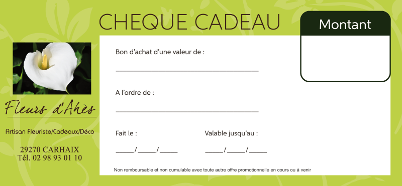 cheque-cadeau1.png